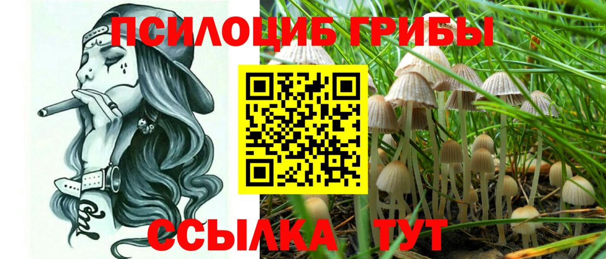 Псилоцибиновые грибы GOLDEN TEACHER Россошь
