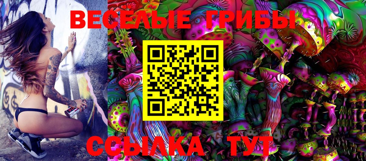 Псилоцибиновые грибы Psilocybe Россошь