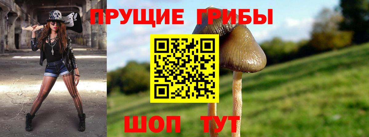 Галлюциногенные грибы Magic Shrooms  Галлюциногенные грибы Cubensis  купить наркоту  Россошь 